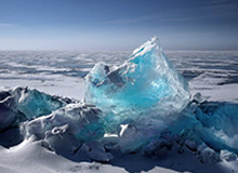 麻将胡了-上海20分大胜山西 成功卫冕CBA俱乐部杯